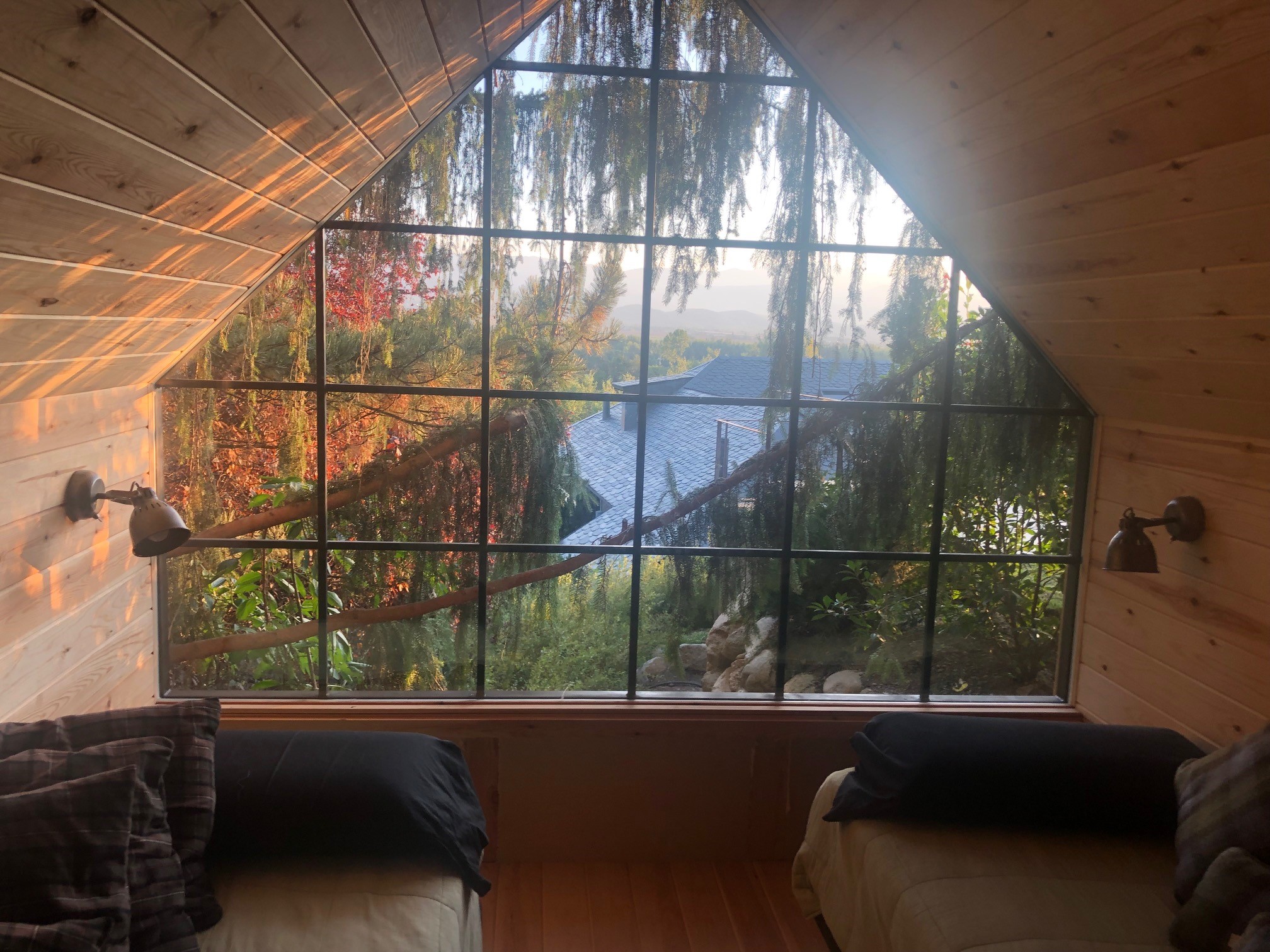lacerdanya 4