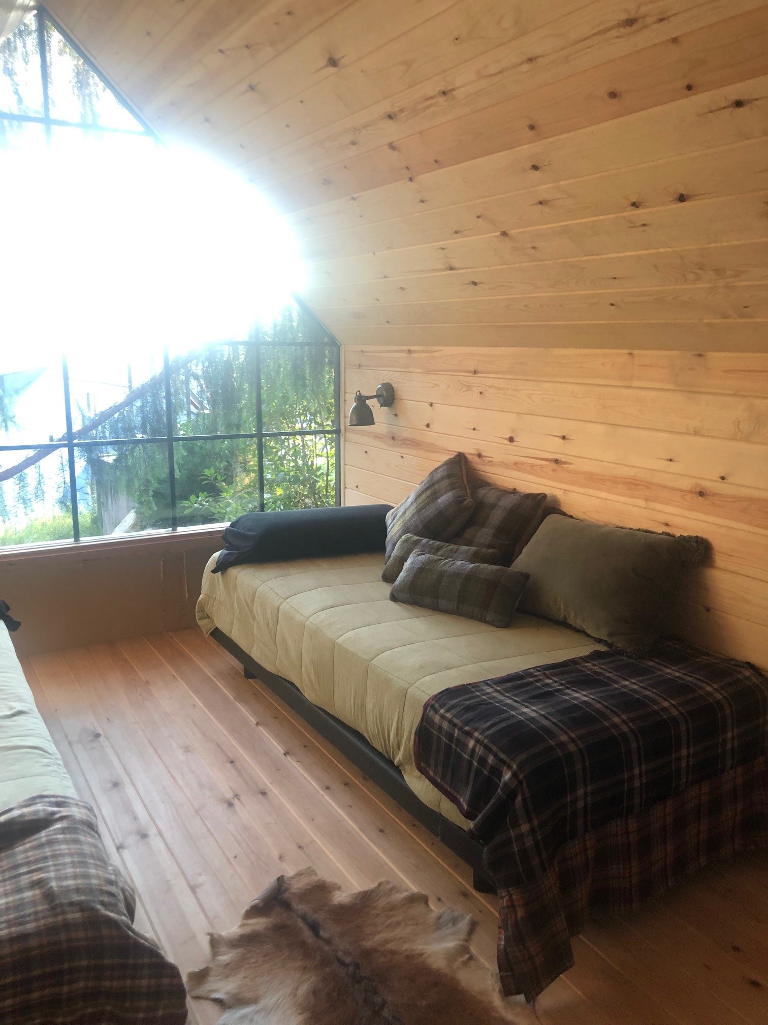 lacerdanya 5